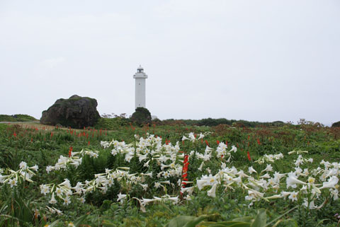 東平安名崎灯台